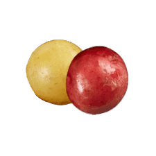 Sunburst Blend™